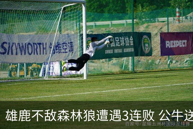雄鹿不敌森林狼遭遇3连败 公牛送灰熊7连败
